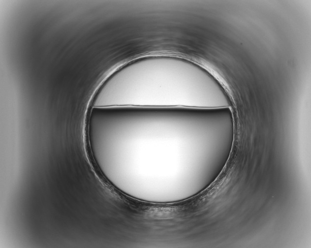 X0000096461237200801241111