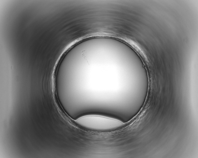 X0000096461238200801241111