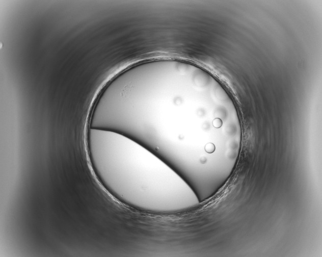 X0000096461239200801241111