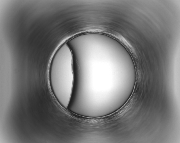 X0000096461240200801241111