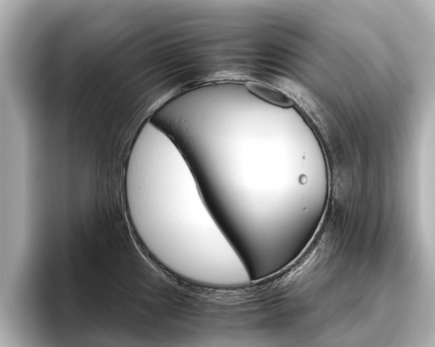 X0000096461241200801241111