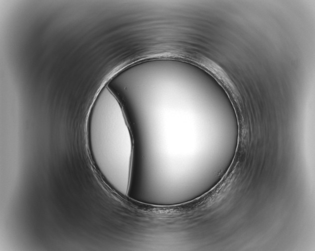 X0000096461242200801241111