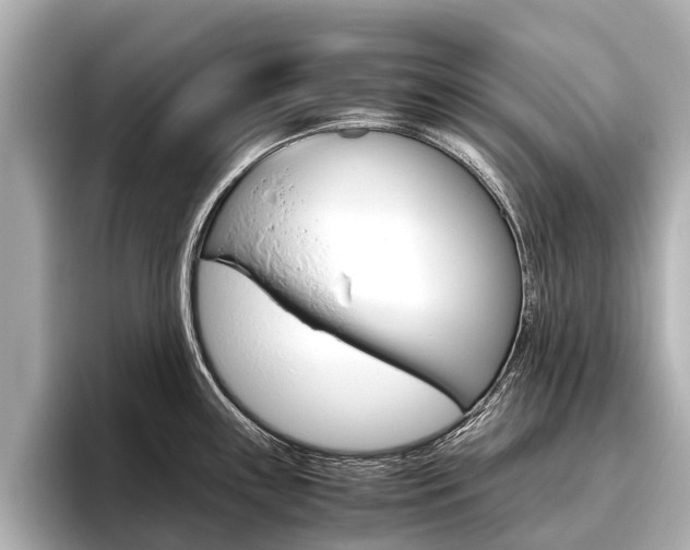X0000096461243200801241112