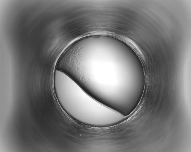 X0000096461244200801241112