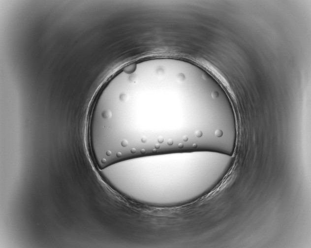 X0000096461245200801241112