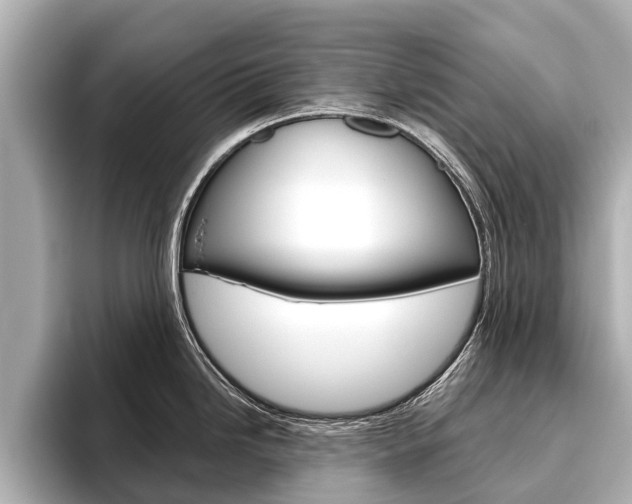 X0000096461246200801241112