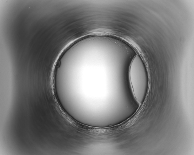 X0000096461248200801241112