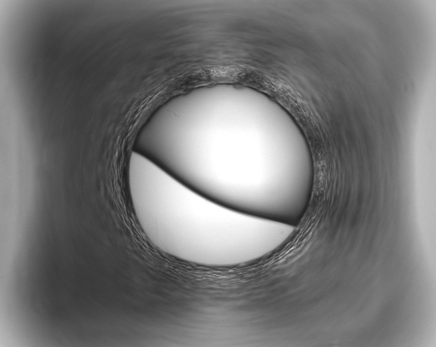 X0000096461249200801241111