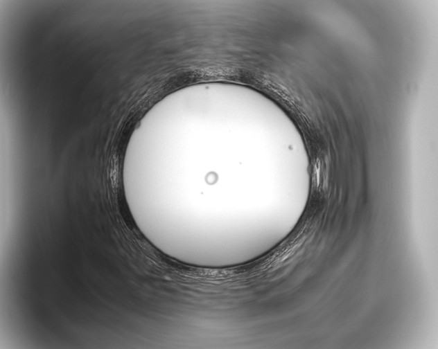 X0000096461251200801241111