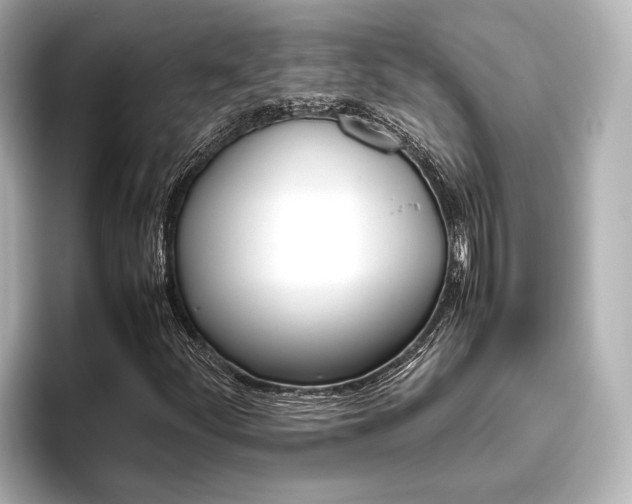 X0000096461252200801241111