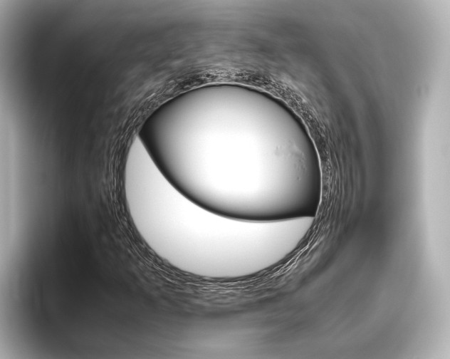 X0000096461253200801241111