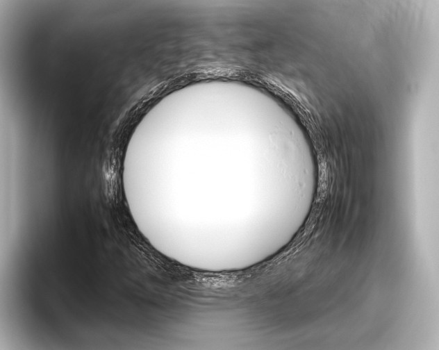 X0000096461254200801241111