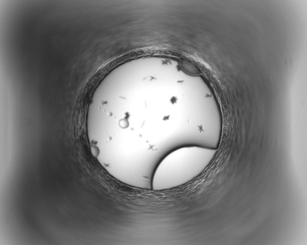 X0000096461255200801241111