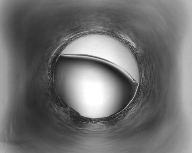 X0000096461256200801241111
