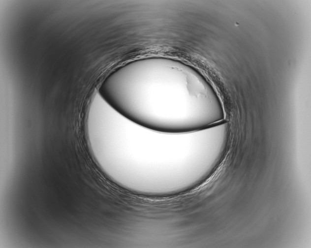 X0000096461257200801241111