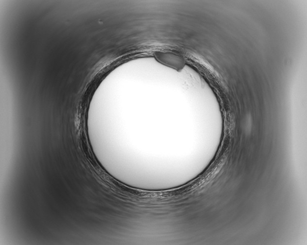 X0000096461259200801241111