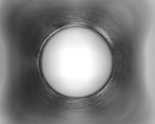 X0000096461260200801241111