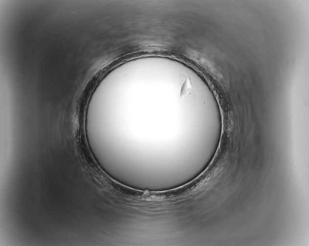 X0000096461261200801241111