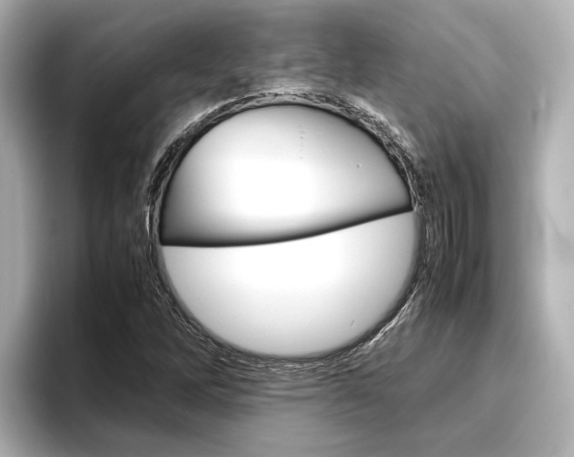 X0000096461262200801241111