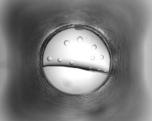 X0000096461263200801241111