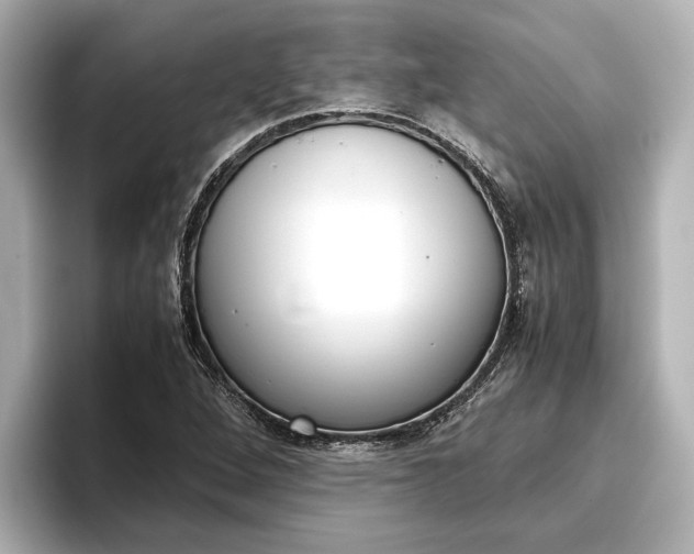 X0000096461264200801241111