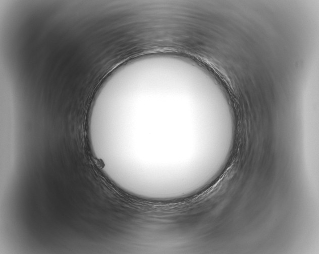 X0000096461265200801241111