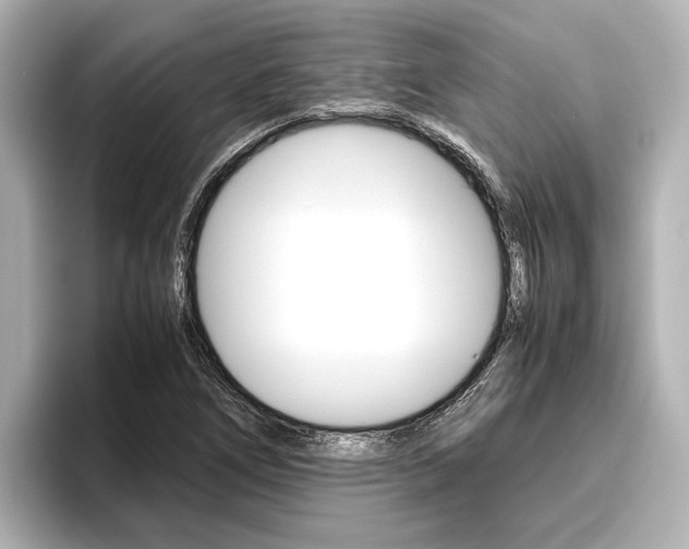 X0000096461266200801241111