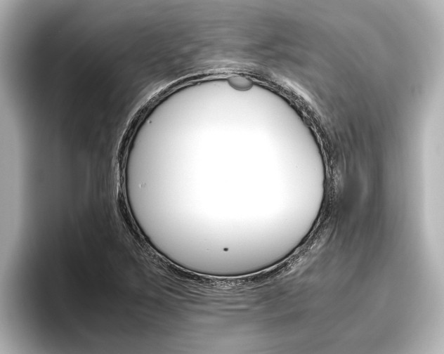X0000096461267200801241111