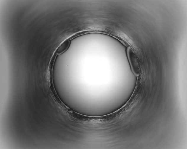 X0000096461268200801241111