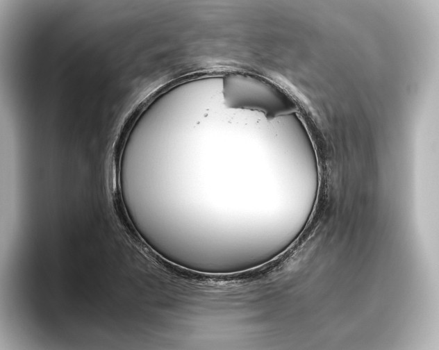 X0000096461269200801241111