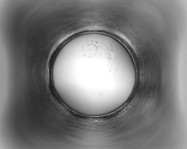 X0000096461270200801241111