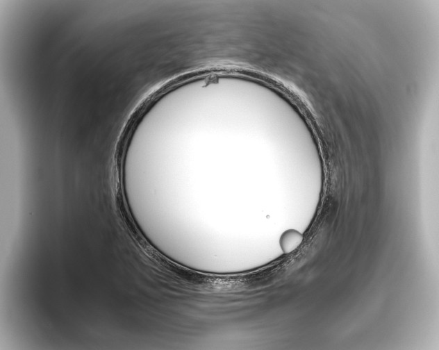 X0000096461271200801241111