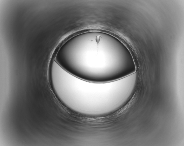 X0000096461272200801241111