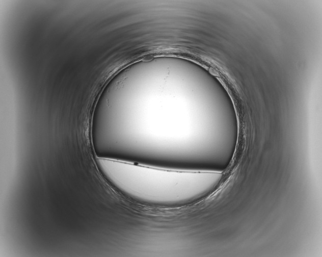 X0000096461273200801241111