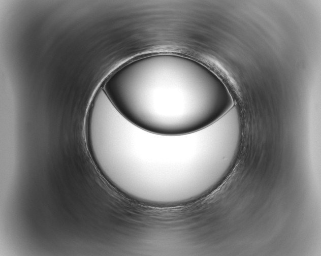 X0000096461276200801241111