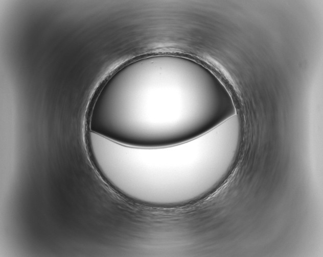 X0000096461277200801241111