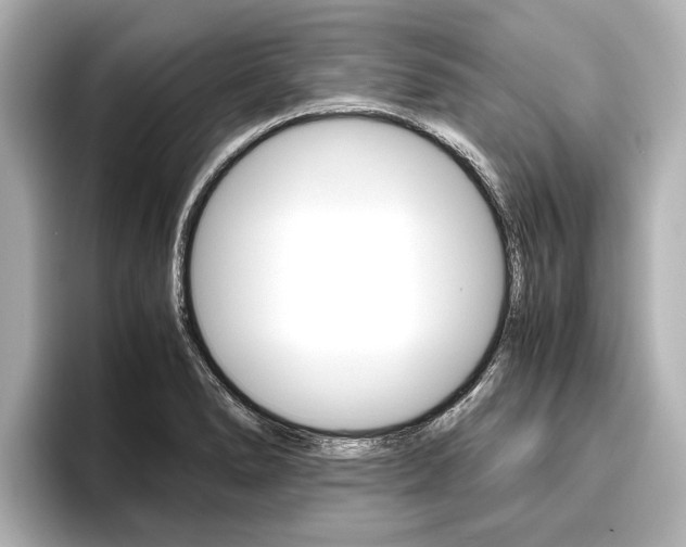 X0000096461278200801241111