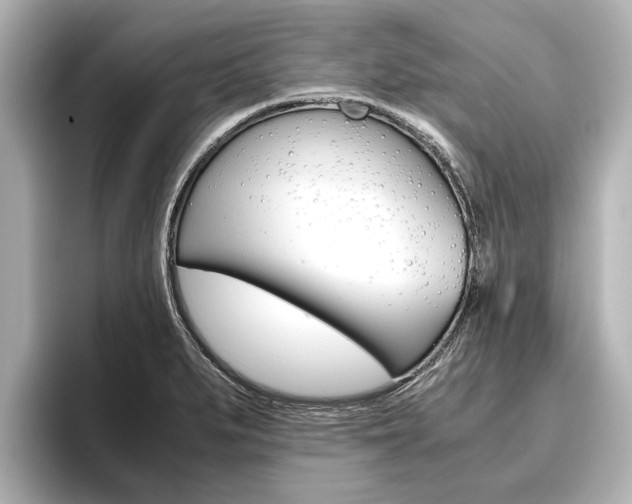 X0000096461279200801241111