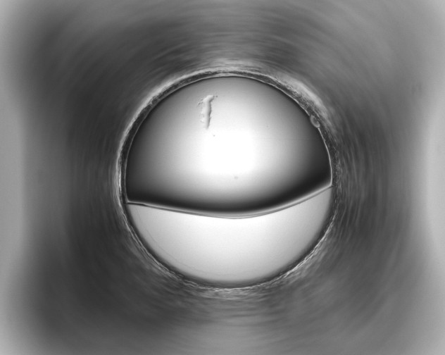 X0000096461280200801241111