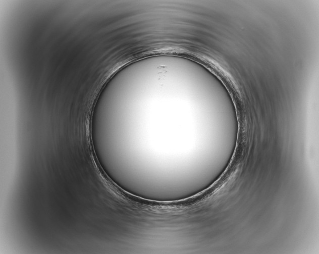 X0000096461281200801241111