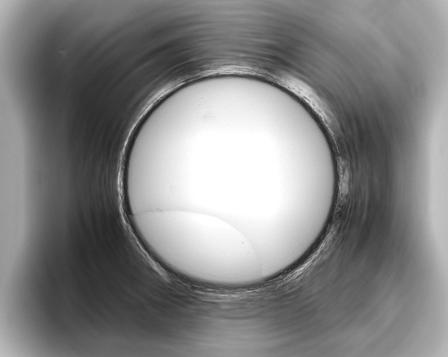 X0000096461282200801241111