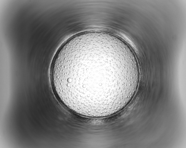 X0000096461283200801241111