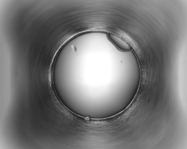 X0000096461284200801241111