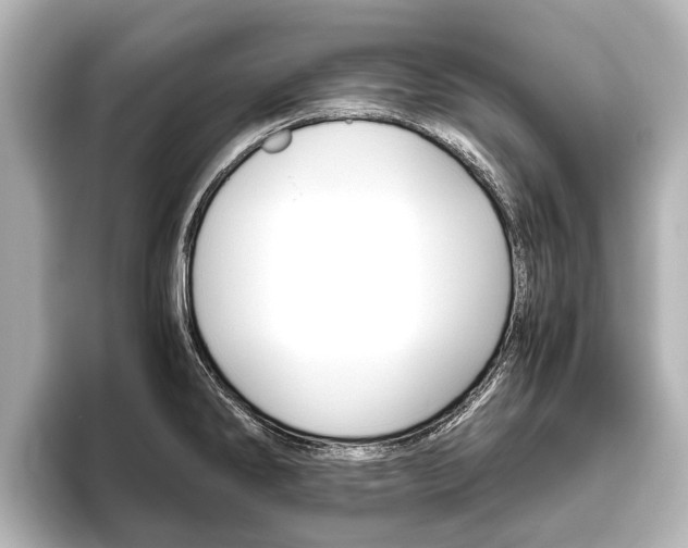 X0000096461286200801241110