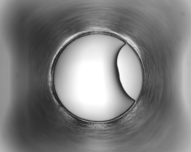 X0000096461287200801241110