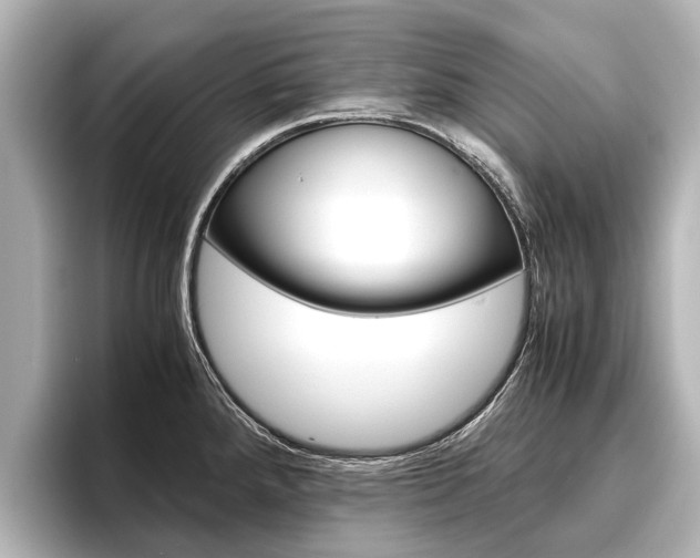 X0000096461288200801241110