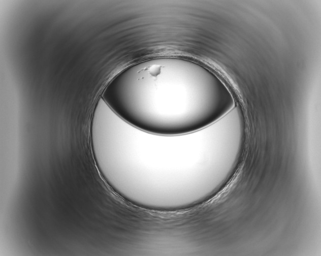 X0000096461289200801241110