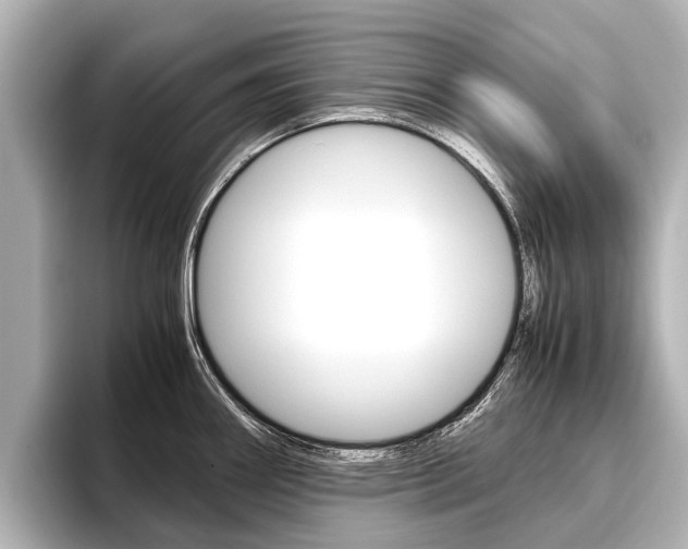 X0000096461290200801241110