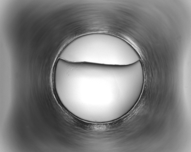 X0000096461291200801241110