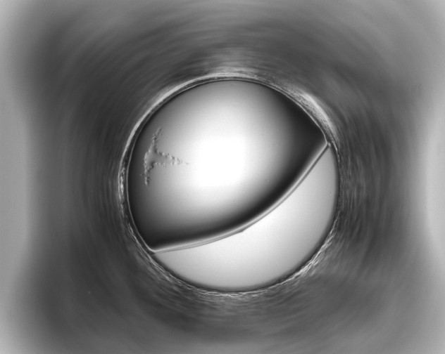 X0000096461292200801241110